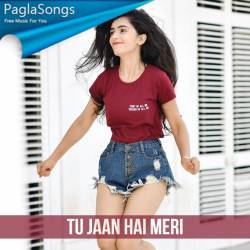 Tu Jaan Hai Meri Poster