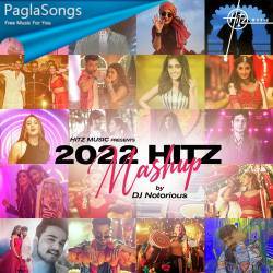 2022 Hitz Mashup   DJ Notorious Poster