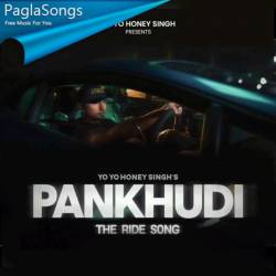 Pankhudi Poster