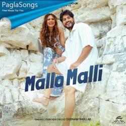 Mallo Malli Poster