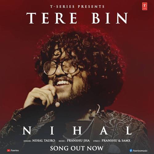 Tere Bin   Nihal Tauro Poster