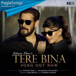 Tere Bina Poster