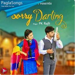 Sorry Darling Poster