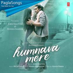 Humnava Mere Poster