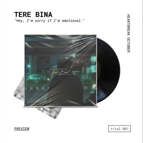 Tere Bina Poster