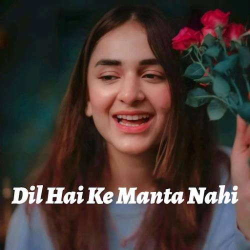 Dil Hai Ke Manta Nahin Poster