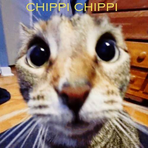 Chippi Chippi Chappa Chappa Poster