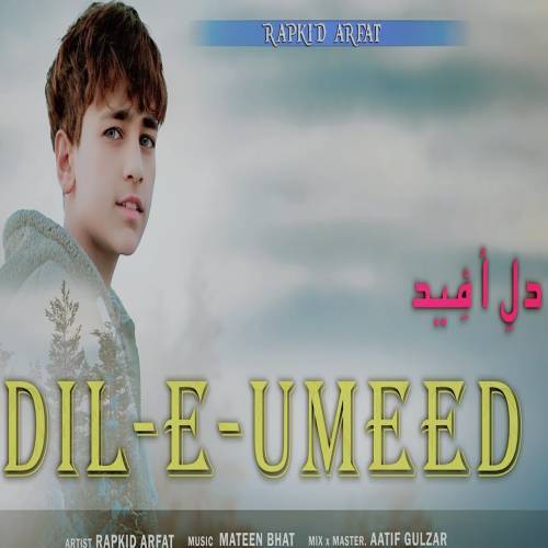 Dil E Umeed Poster