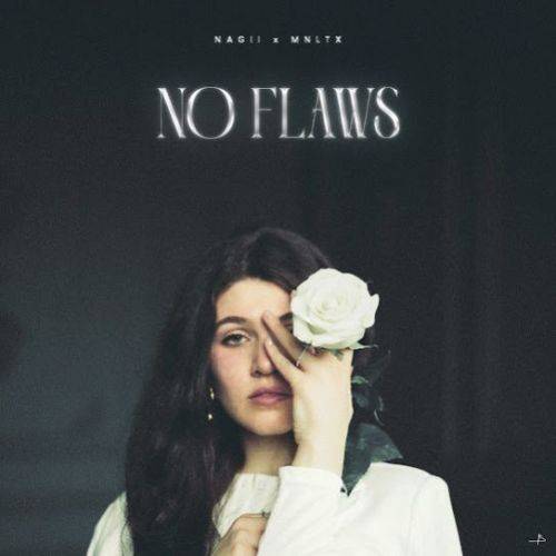 No Flaws Poster