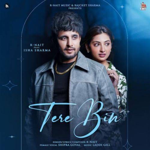 Tere Bin Poster