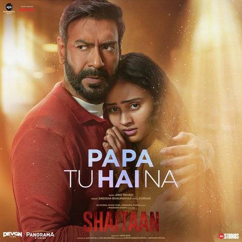 Papa Tu Hai Na Poster