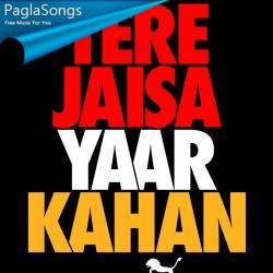 Tere Jaisa Yaar Kahan Poster