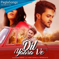 Dil Yaara Ve Poster