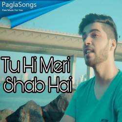 Tu Hi Meri Shab Hai Poster