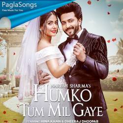 Humko Tum Mil Gaye Poster