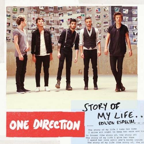 One Direction Story of My Life Poster