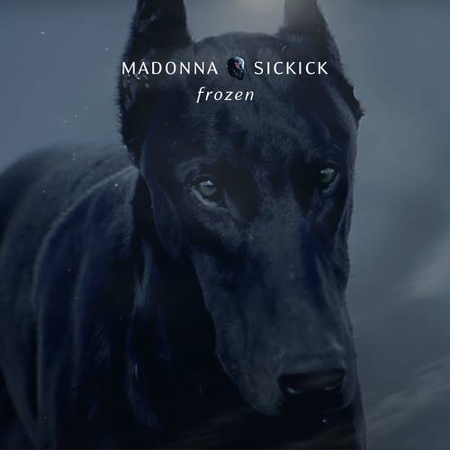 Madonna Vs Sickick Frozen Poster