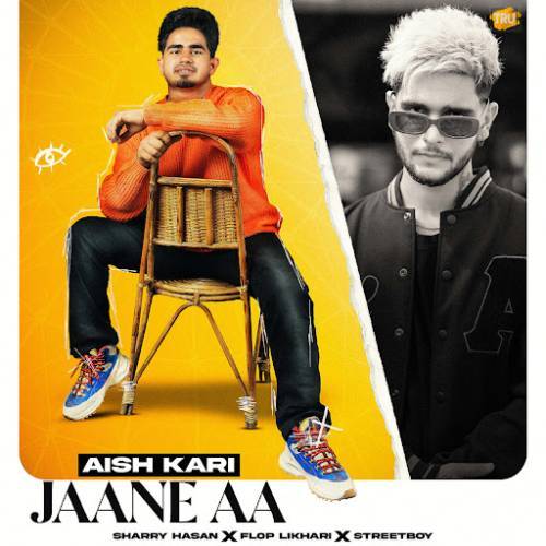 Aish Kari Jaane Aa Poster