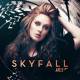 Skyfall Adele Ringtone Poster