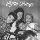 One Direction Little Things Poster