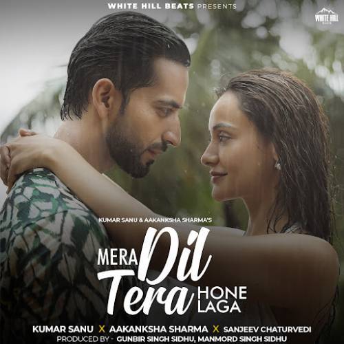 Mera Dil Tera Hone Laga Poster