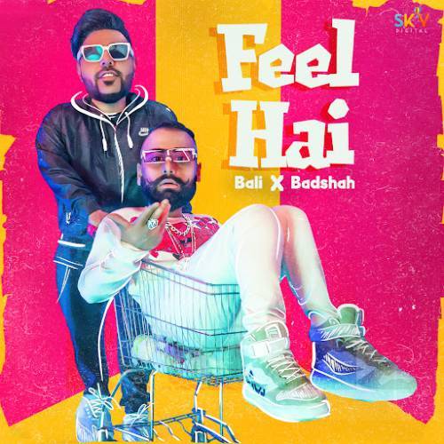 Feel Hai Poster