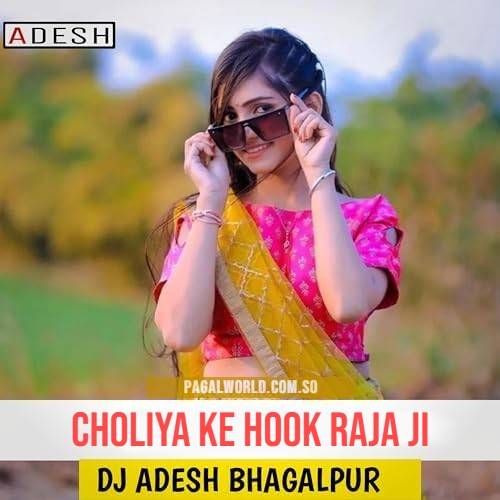 Choliya Ke Hook Raja Ji Remix Poster