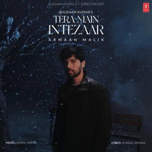 Tera Main Intezar Poster