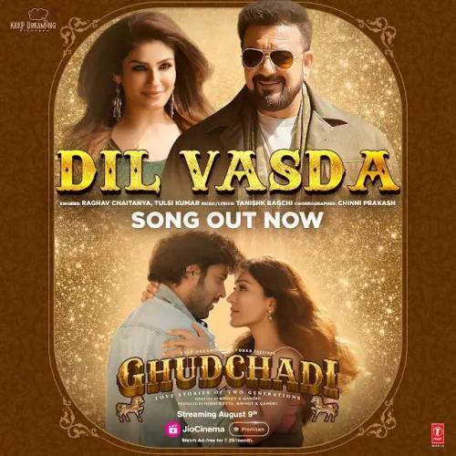 Dil Vasda Poster