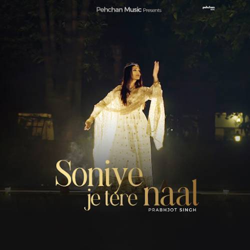 Soniye Je Tere Naal Poster