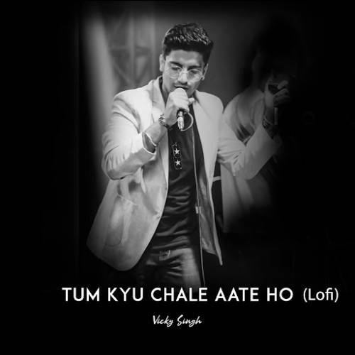 Tum Kyu Chale Ate Ho Lofi Mix Poster