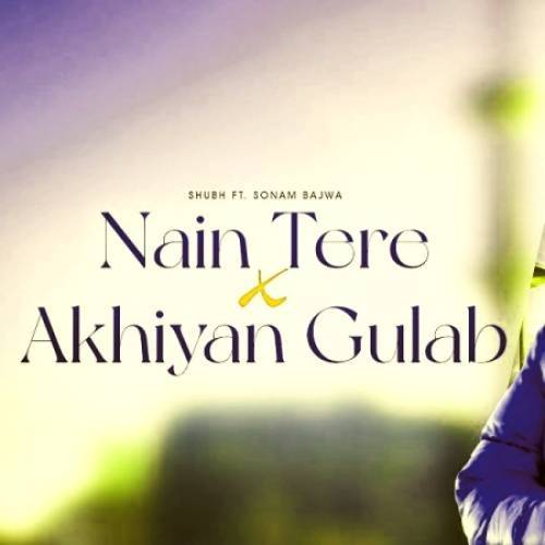 Nain Tere X Ankhiyan Gulab Poster