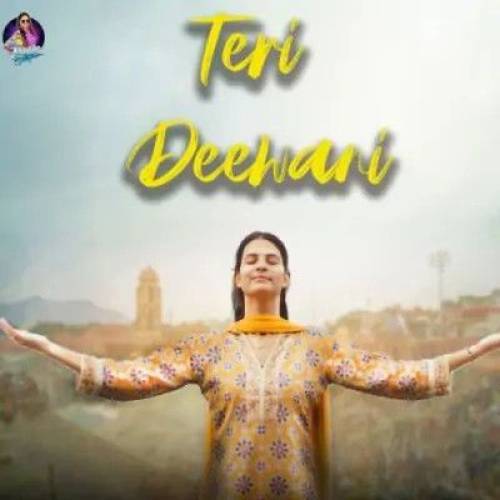 Teri Deewani Poster