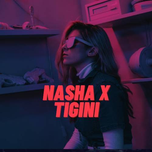 Nasha X Tigini Poster