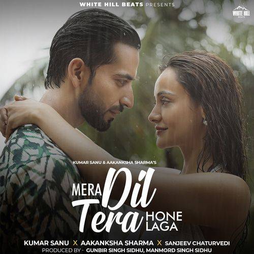 Mera Dil Tera Hone Laga Ringtone Poster