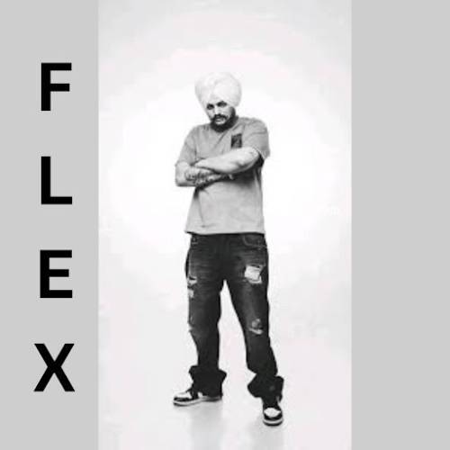 Flex Poster