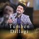 Tumhen Dillagi