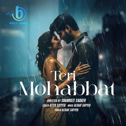 Teri Mohabbat Poster