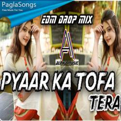 Pyar Ka Tohfa Tera   Dj Sameer Sd Poster