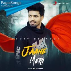 Jaane Meri Poster