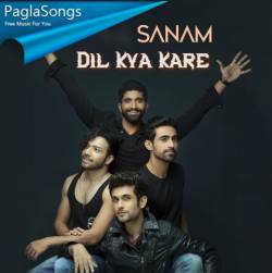 Dil Kya Kare Poster