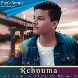 Rehnuma Poster