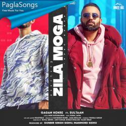 Zila Moga Poster