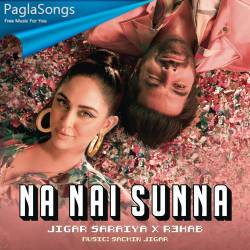 Na Nai Sunna Poster