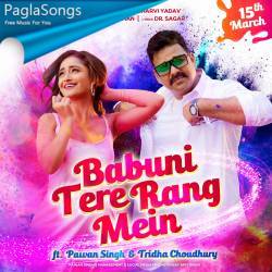 Babuni Tere Rang Mein Poster