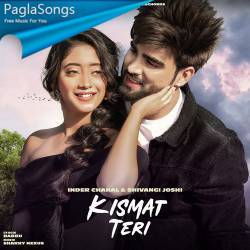 Kismat Teri Poster