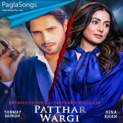 Patthar Wargi Poster