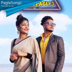 Pagla Pagli Poster