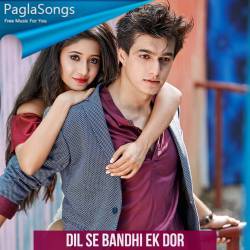 Dil Se Bandhi Ek Dor Poster