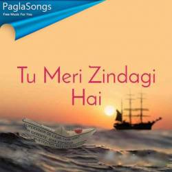 Tu Meri Zindagi Hai Poster